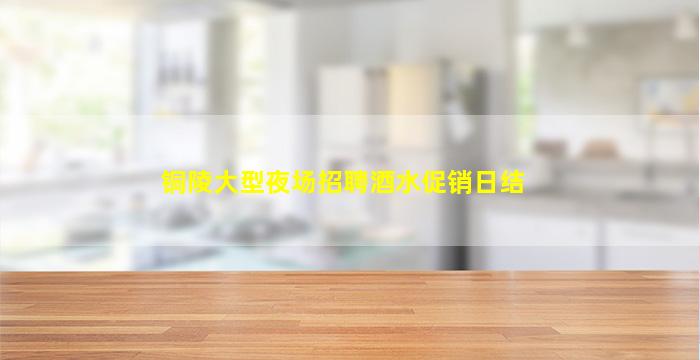 铜陵大型夜场招聘酒水促销日结